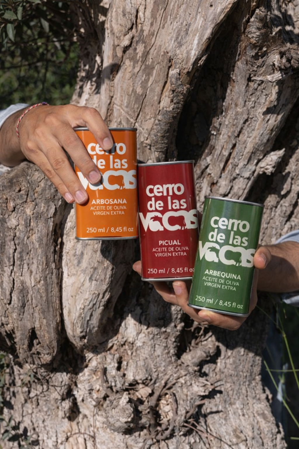 Regalar aceite de oliva: cómo elegir bien un regalo infalible