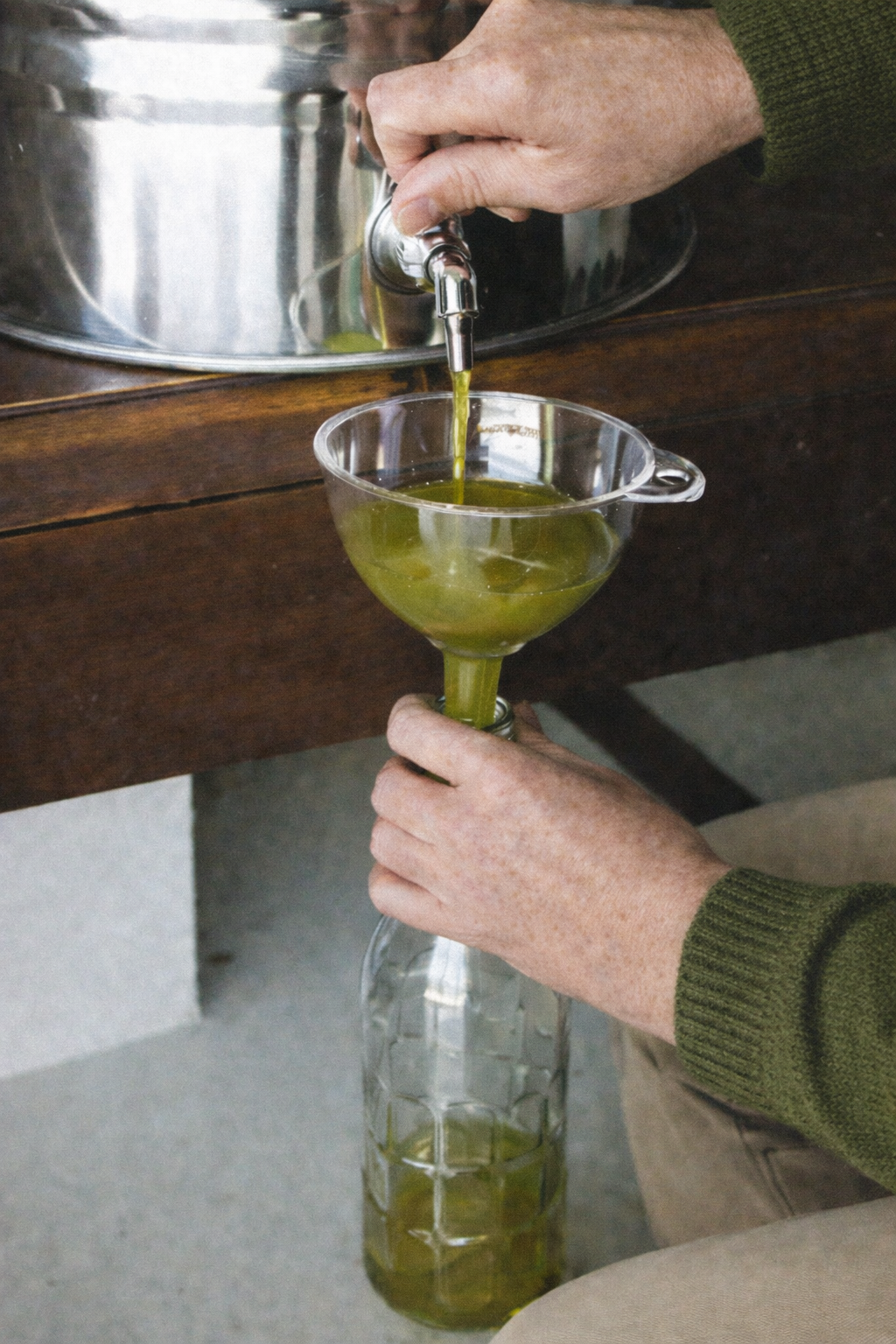 Aceite de oliva virgen extra de cosecha temprana: cuando la cosecha marca la diferencia